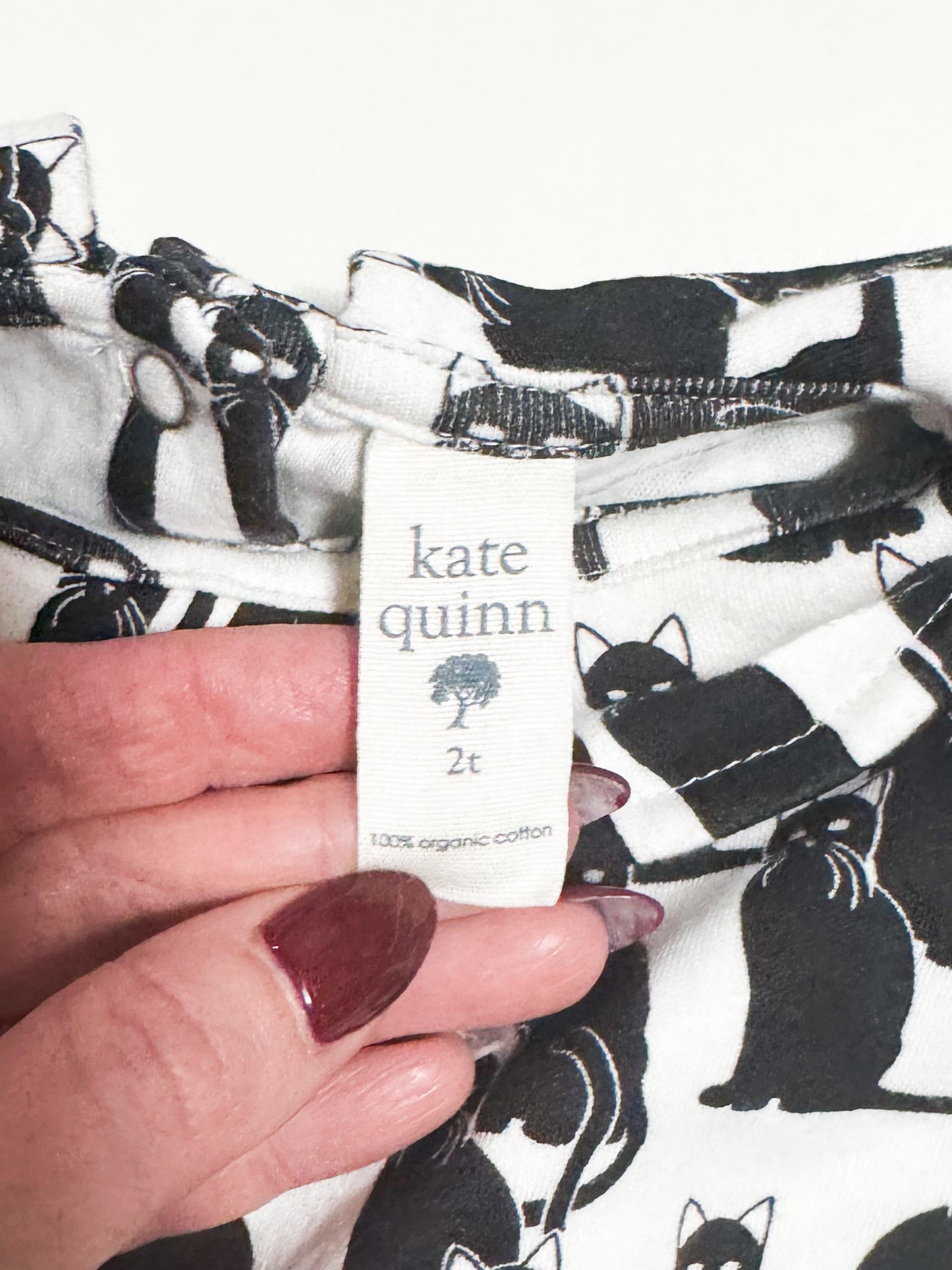 Kate Quinn Cat Bubble Suit size 2T