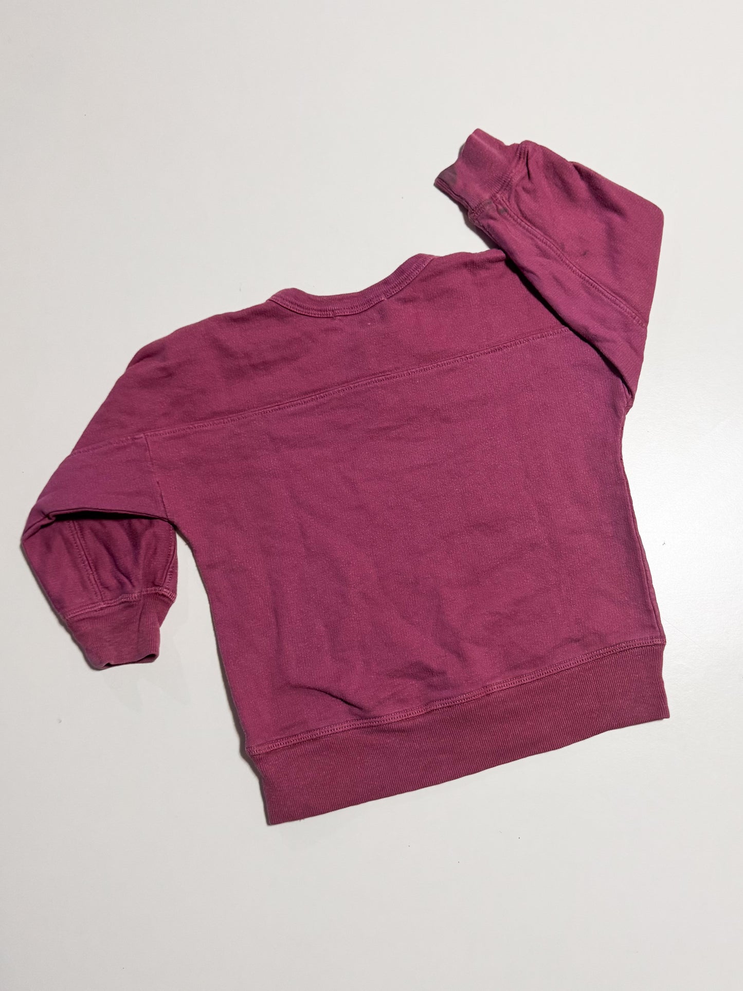 Petits Vilains Henley Pullover size 2-3Y
