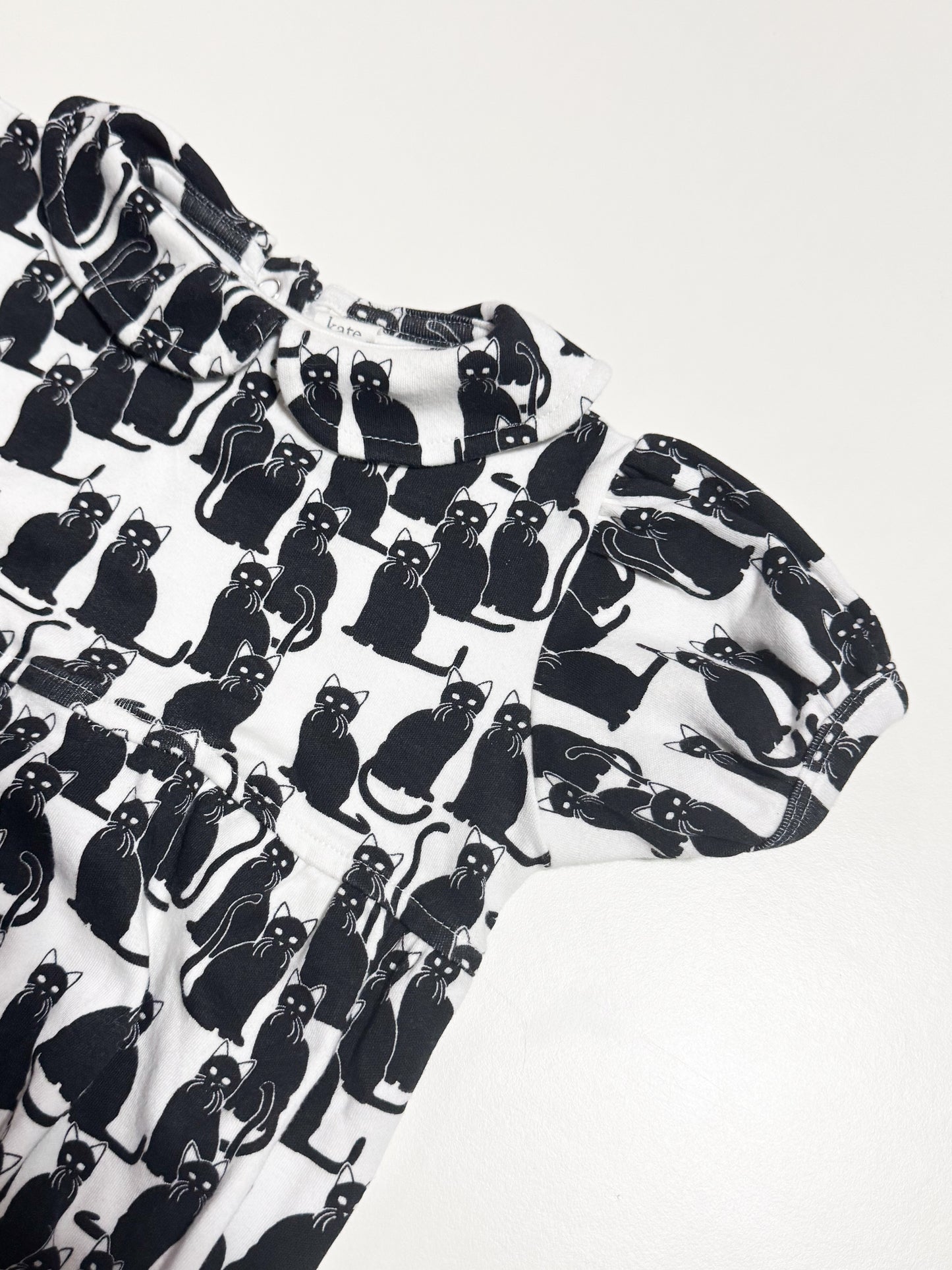 Kate Quinn Cat Bubble Suit size 2T
